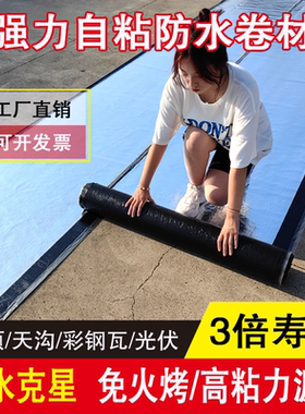 汉哲中国大陆自粘防水卷材