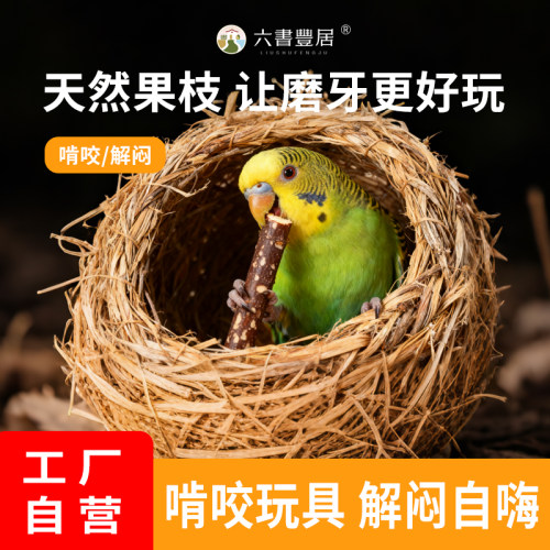 鹦鹉苹果木枝磨喙磨嘴玩具
