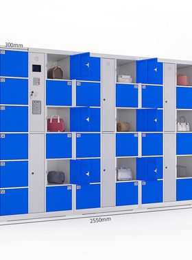 36门存包柜ZD5655自编码型深蓝色