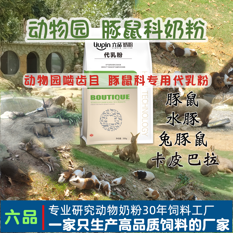 卡皮巴拉豚鼠饲料荷兰猪粮食动物