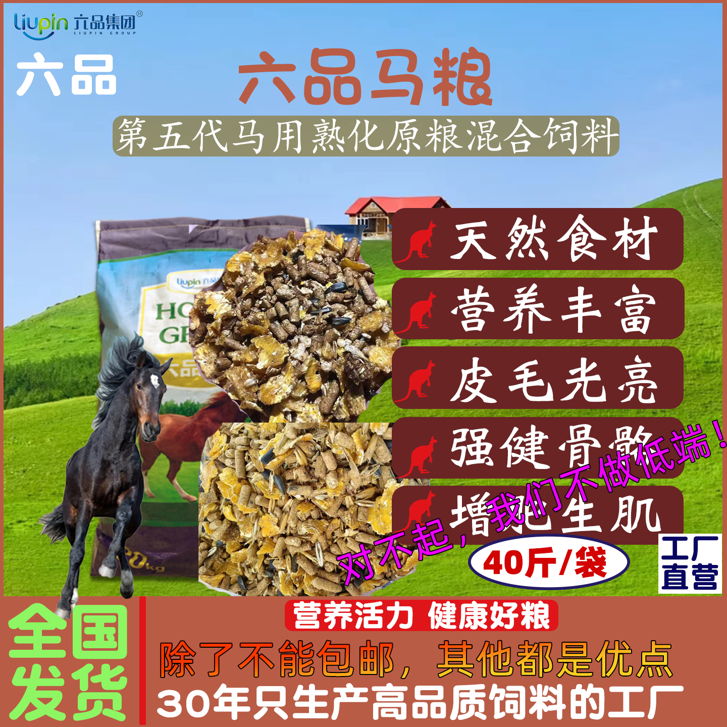 运动型天然营养马粮通用马精饲料