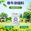 繁殖牛浓缩料母牛专用补充营养饲料促生长高蛋白饲料厂家六品直销