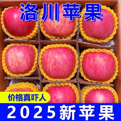 陕西正宗洛川苹果新鲜水果当季脆甜一级红富士孕妇冰糖心10斤整箱