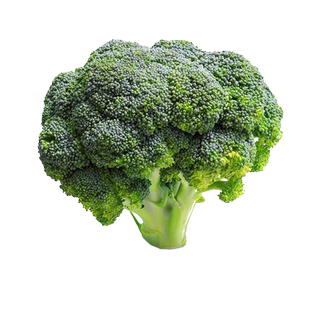 西兰花种子孑西蓝花菜种籽有机松花菜种孑青花椰菜绿色耐寒蔬菜