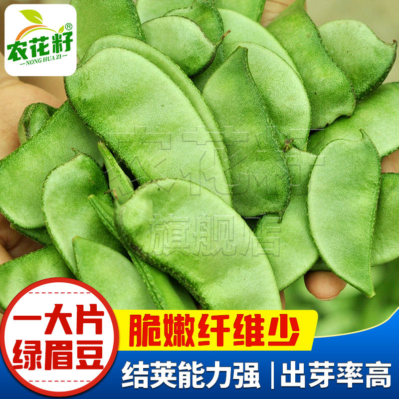 绿眉豆种籽白眉豆种子农家梅豆扁豆种孑豆角芸豆四季豆青豆蔬菜种