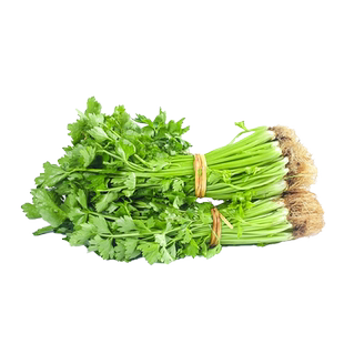 四季小香芹菜种孑本地芹菜种籽大全秧苗白芹菜种子蔬菜种孑农家