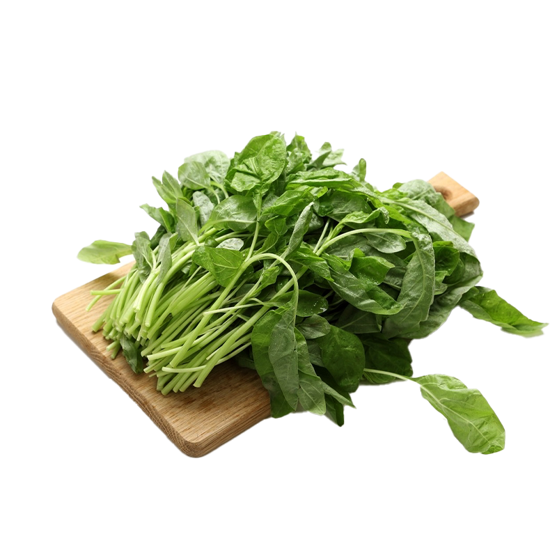柳叶青苋菜种籽老品种尖叶汉菜白苋菜种子耐热夏季青菜蔬菜种孑