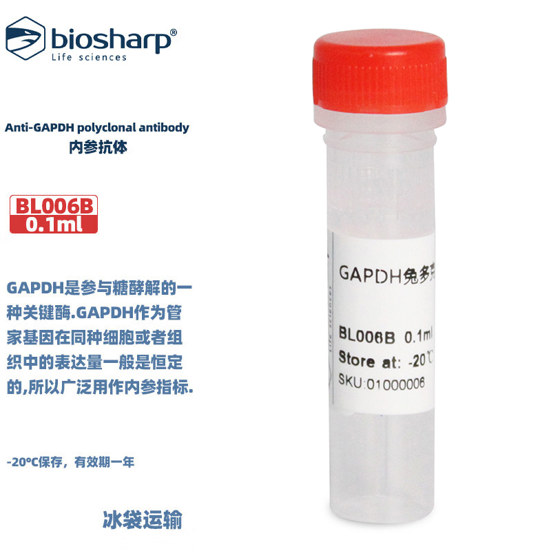 内参抗体生物化学试剂白鲨