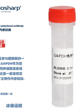 BIOSHARP LIFE SCIENCES 白鲨 BL006B Anti-GAPDH polyclonal antibody 内参抗体 0.1ml/支