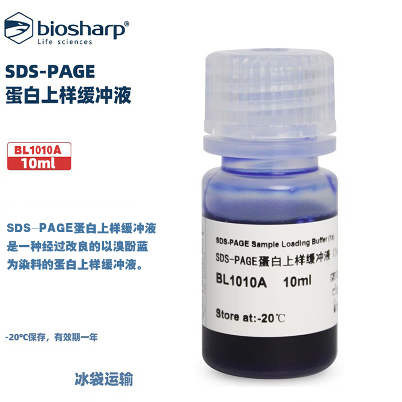 生物化学试剂蛋白上样缓冲液(1X)