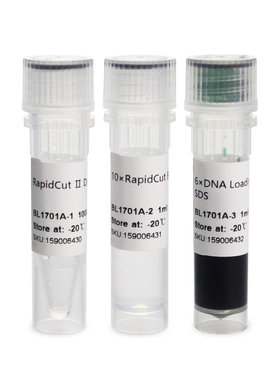 Biosharp/白鲨 BL1701A RapidCut Ⅱ DpnI 快速限制性内切酶