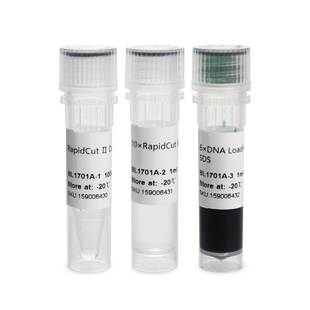 Biosharp/白鲨 BL1701A RapidCut Ⅱ DpnI 快速限制性内切酶