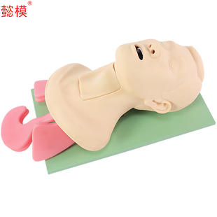 懿模 CK1261Y 高级气道管理模拟人 可进行鼻咽通气管、气管插管、环甲膜穿刺、环甲膜切开、 气管切开训练。