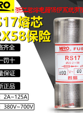 茗熔保险RS17 22*58 125A 100A 80A 63A 50A 40A 690V快速熔断器