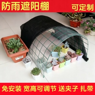 多肉防雨保温棚罩遮阳防晒植物花卉防冻阳台档雨楼顶防寒温室花房