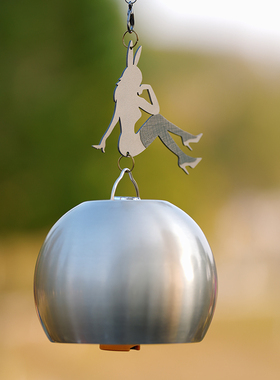 Goalzero球形灯罩帐篷氛围吊灯装饰复古艺术铝合金户外露营gz灯罩