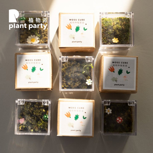 植物派创意植物微观盲盒苔藓微观植物桌面案台小盆栽透明盲盒礼物