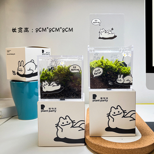 植物派 创意微景观桌面diy微观苔藓迷你盆栽绿植物摆件生态瓶