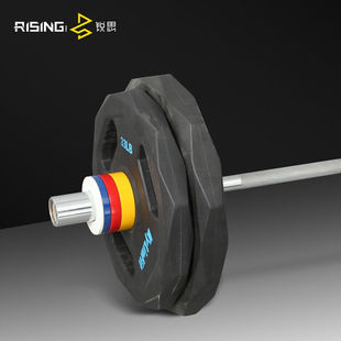 RISING锐思杠铃片哑铃配重铁芯片彩色喷漆片杠铃增重片举重配件小