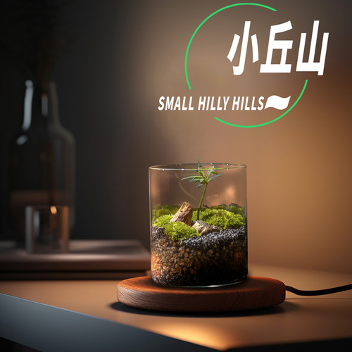 丘辰微景观定制伴手礼送老师同学