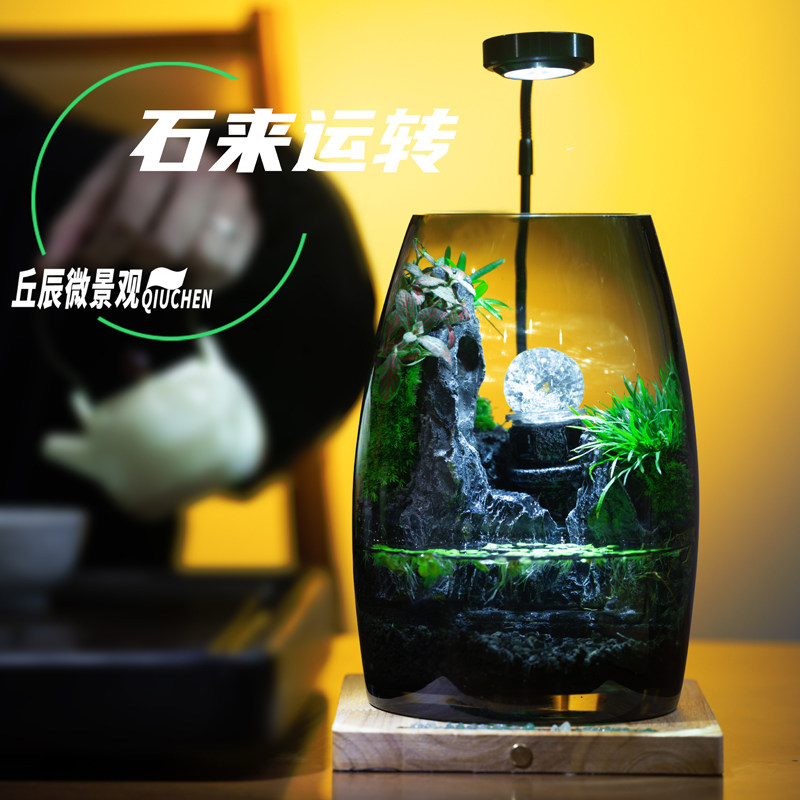 丘辰流水款真植物顺丰包邮