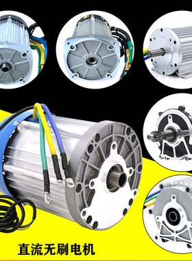 极速电动车电机60V22n00W三C轮车四轮车大功率改装直流无刷差速电