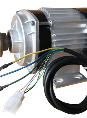 极速三轮车电机无刷中w置皮带轮电机48V500W