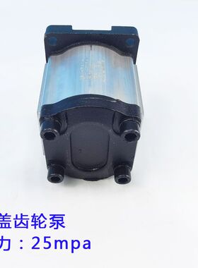 极速包邮CBN-30k6/310/314/316/320/325高压齿轮泵25兆帕铁壳花键