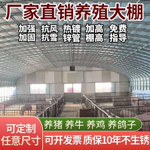 极速2021温3室养殖大棚骨架钢管配件隔热保温LQ全套椭圆管鸡舍牛