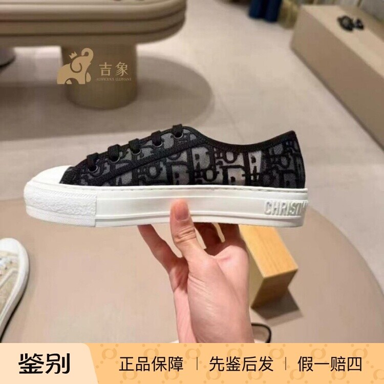 Dior迪奥2026新款网纱刺绣帆布鞋