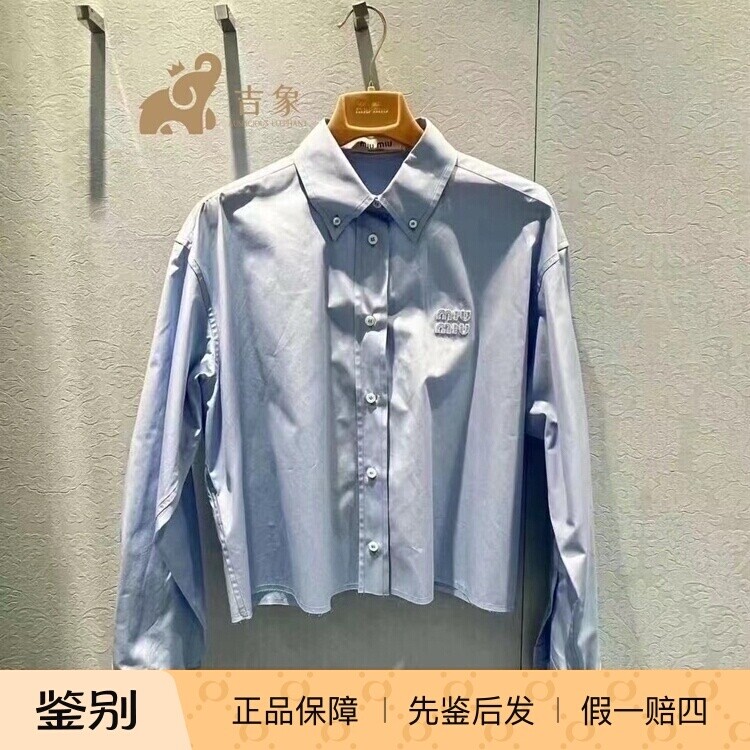 POLO领2024新款府绸棉质浅蓝色