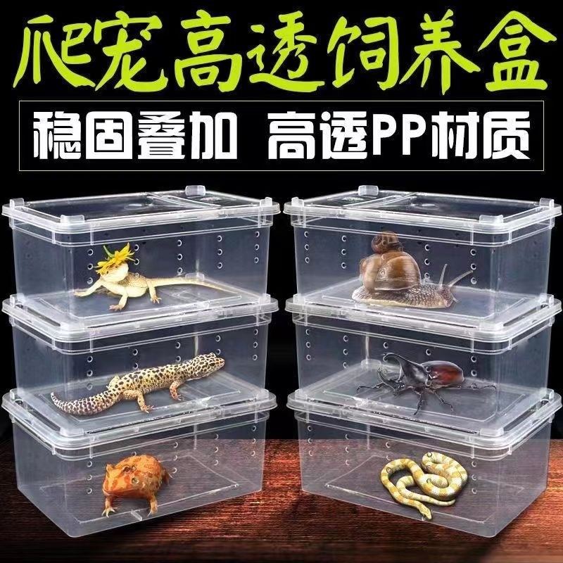 速发爬虫饲盒养冬眠蚕宝宝蜘蛛角蛙蜥蜴蜗牛饲居蟹爬宠箱寄养龟缸