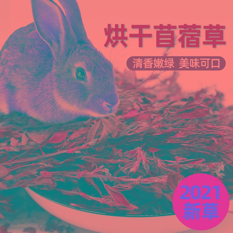 速发2021年新紫花苜蓿粮兔子兔干草猪牧草料幼草草食用品1kg
