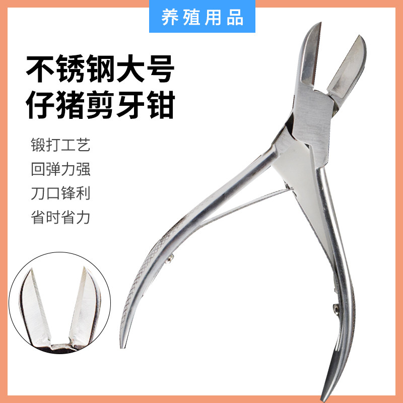 速发仔猪牙剪兽用剪牙钳不锈钢养猪器械用品小乳猪断牙钳小兔剪牙