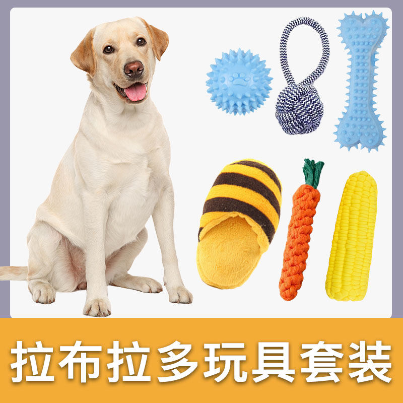 速发拉布拉多玩具套装耐咬发声玩磨牙狗具小型犬解闷幼犬用品