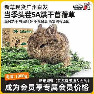 速发烘干紫花苜蓿草兔子鼠料兔粮苜宿草叶子干草幼兔豚草新鲜