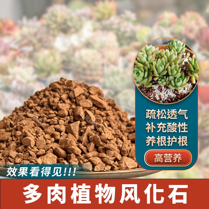 速发多肉风化土颗粒土风多盆土性景土赤玉土酸肉土透气