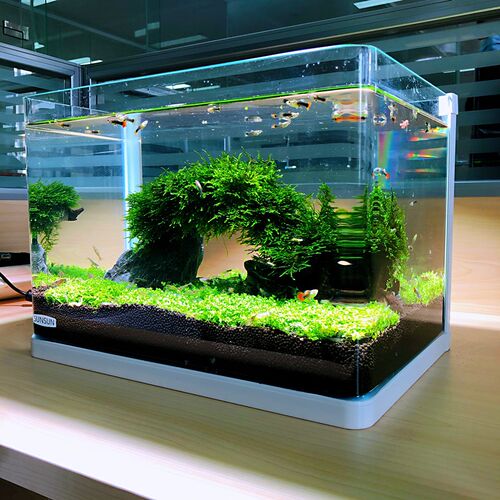速发热弯鱼水免换水懒人生小鱼缸态型缸族箱超白玻璃缸水草缸