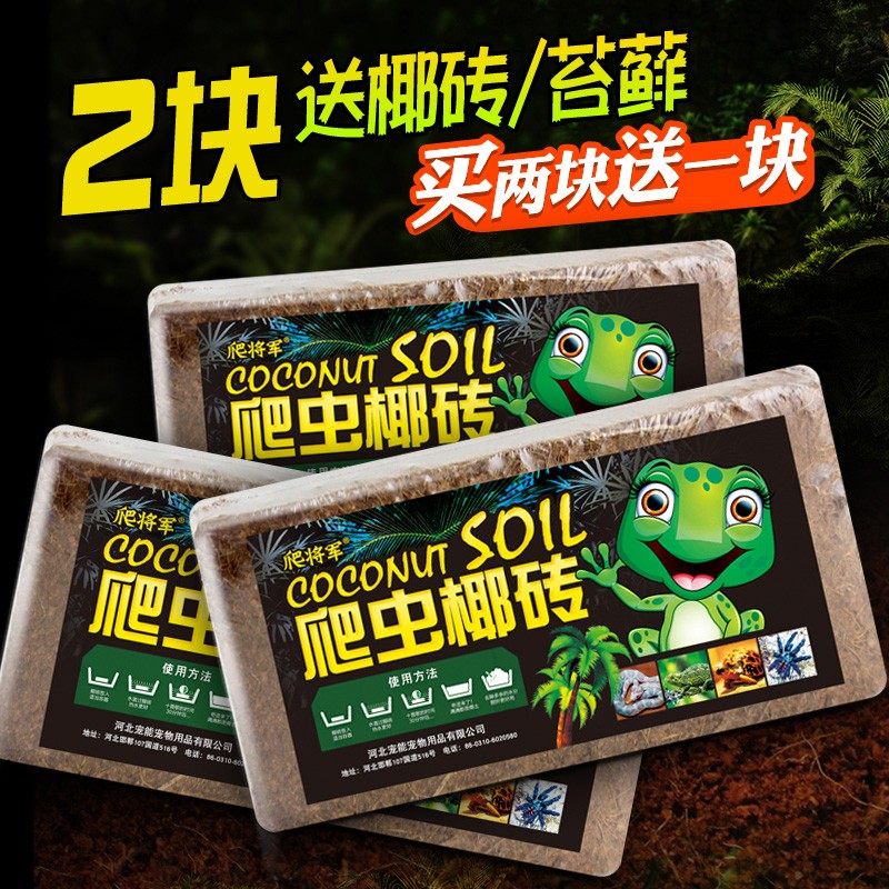 速发爬虫椰土椰砖陆龟过冬垫材保温保湿乌龟龟眠冬土蜘蛛保苔暖藓