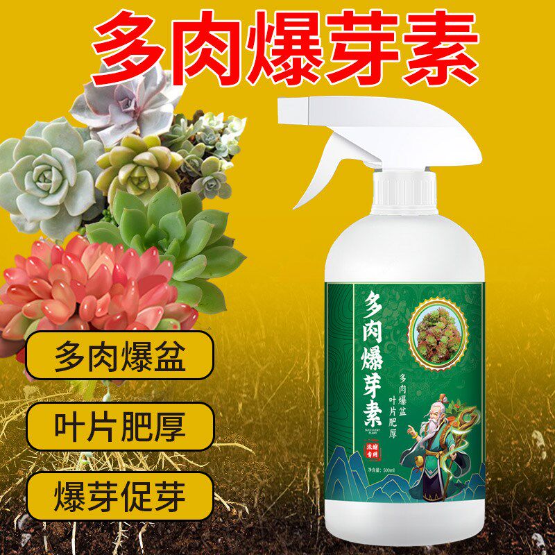 速发多肉爆芽素生喷壮苗促发芽富含微直元素四季通用大容量量根型