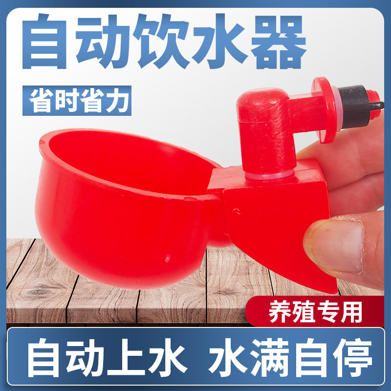 速发饮鹌喝水小水器喂鸡鸭鸽子用饮水碗雏鸡自动饮水器鸡鹑家禽喂