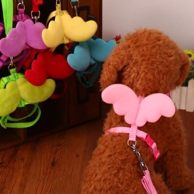 速发狗链子小型犬泰迪幼犬胸背带猫咪用品项圈狗绳