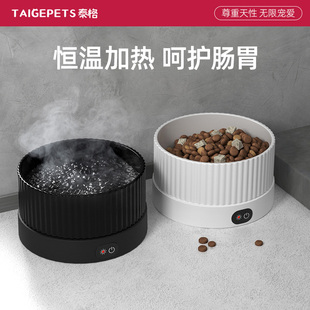 恒温猫咪饮水机酸奶机陶瓷加热猫碗饮水器宠物冬季喝水碗狗喝水器