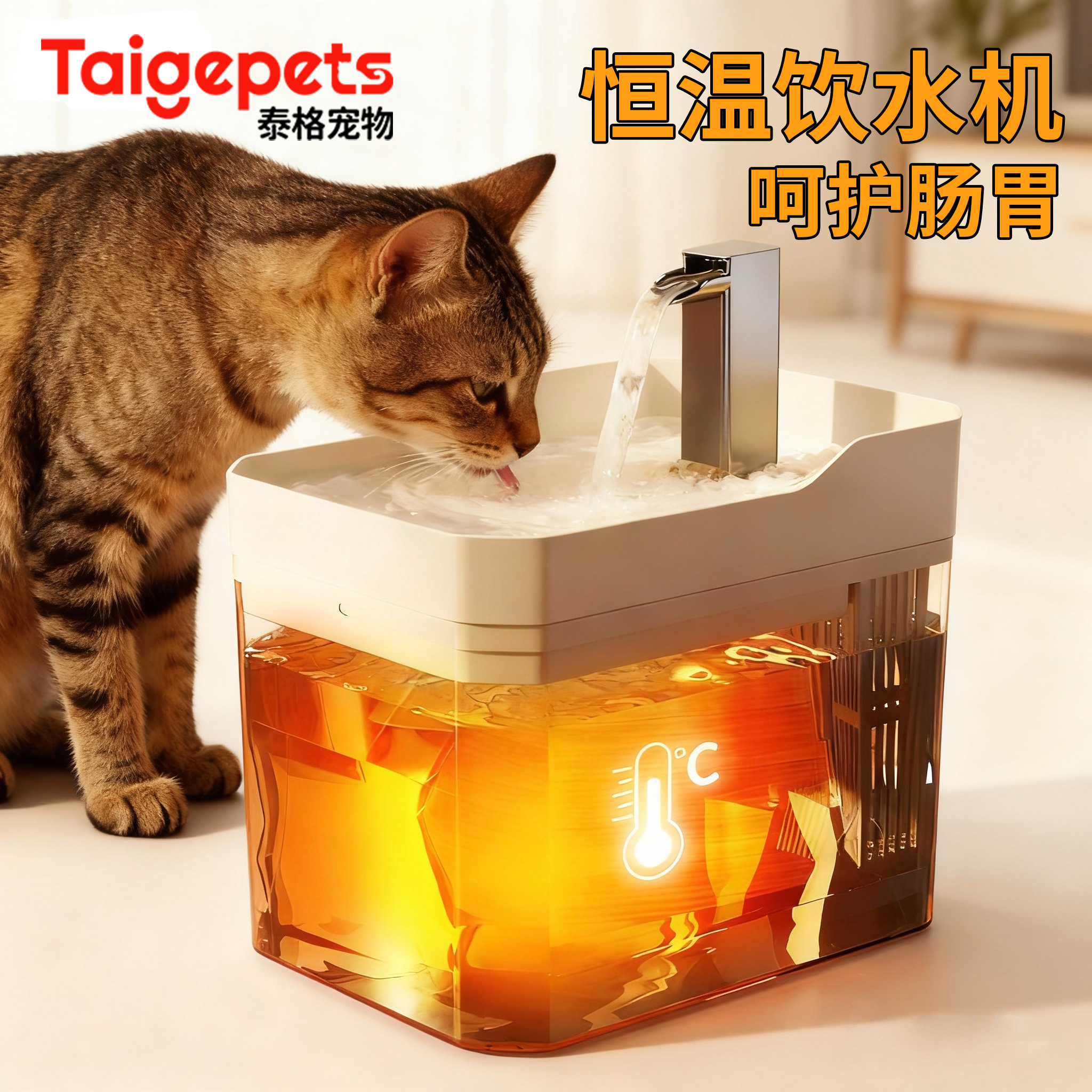 恒温猫咪自动饮水机自动循环宠物饮水器喝水器流动加热水碗喂水器