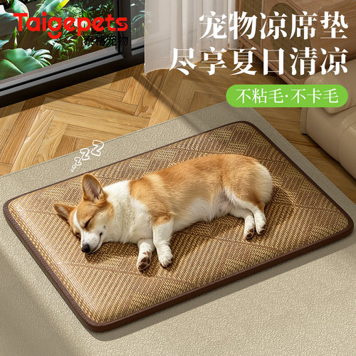 夏季藤编透气猫狗凉席垫