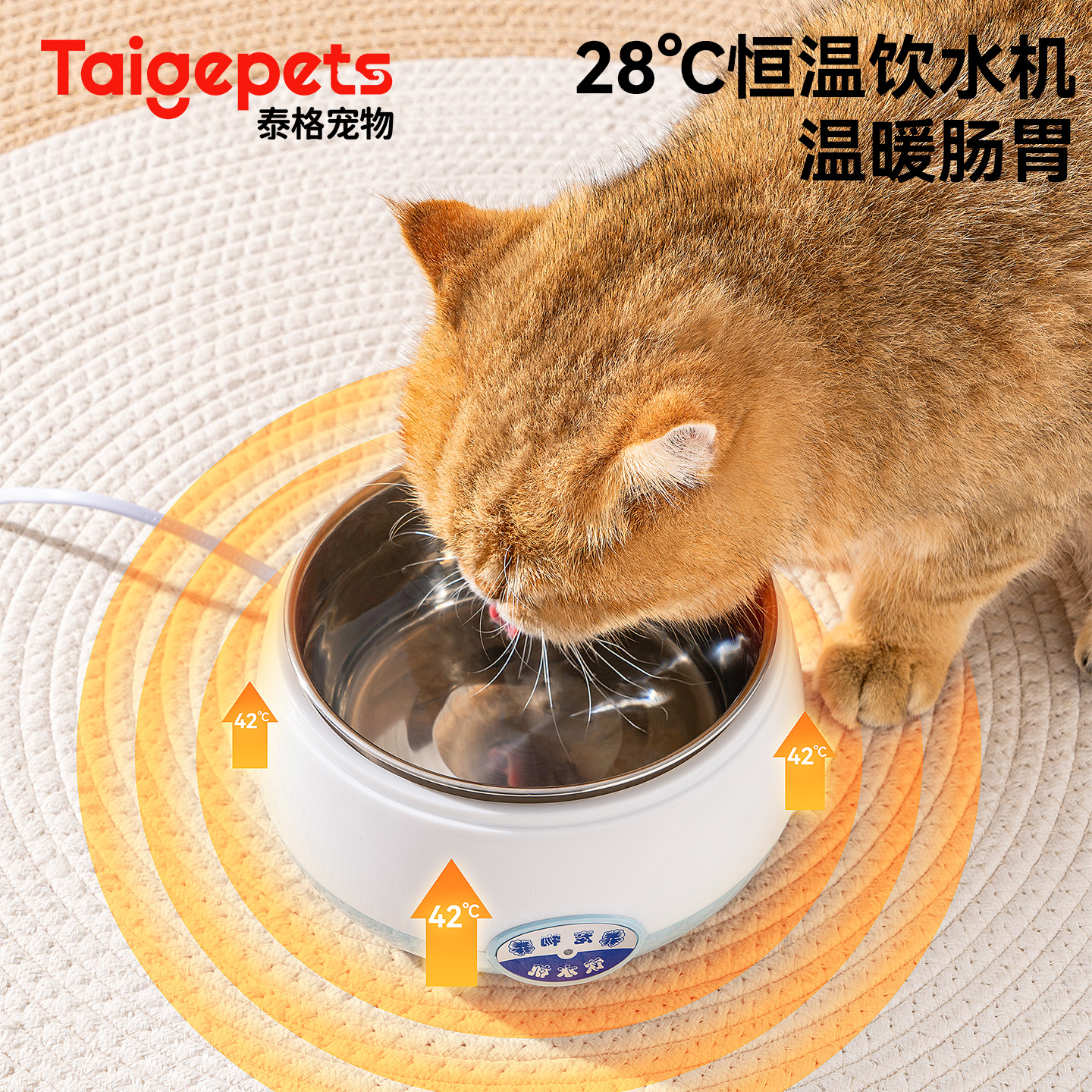 酸奶机猫咪喝水恒温饮水机自动循环猫咪喝水器流动狗狗恒温加热碗