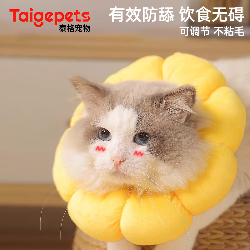 猫咪伊丽莎白圈防舔英短项圈