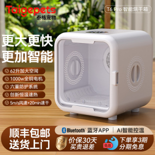 宠物烘干箱猫咪自动吹干机家用洗澡吹毛神器狗狗烘干机吹风智能