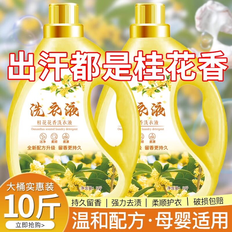 桂花香氛洗衣液持久留72小