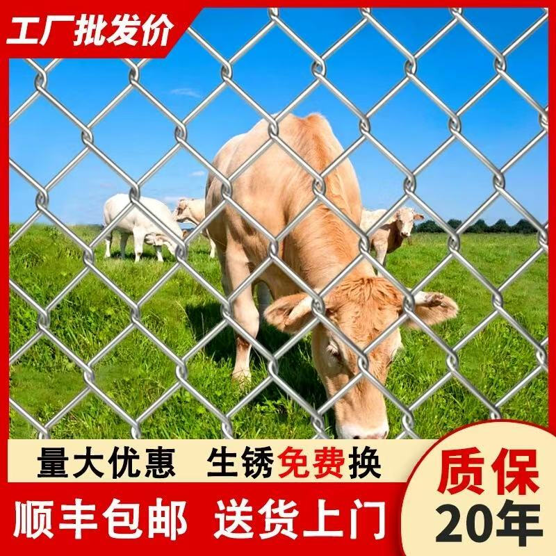 养牛围栏网钢丝网围栏厂家